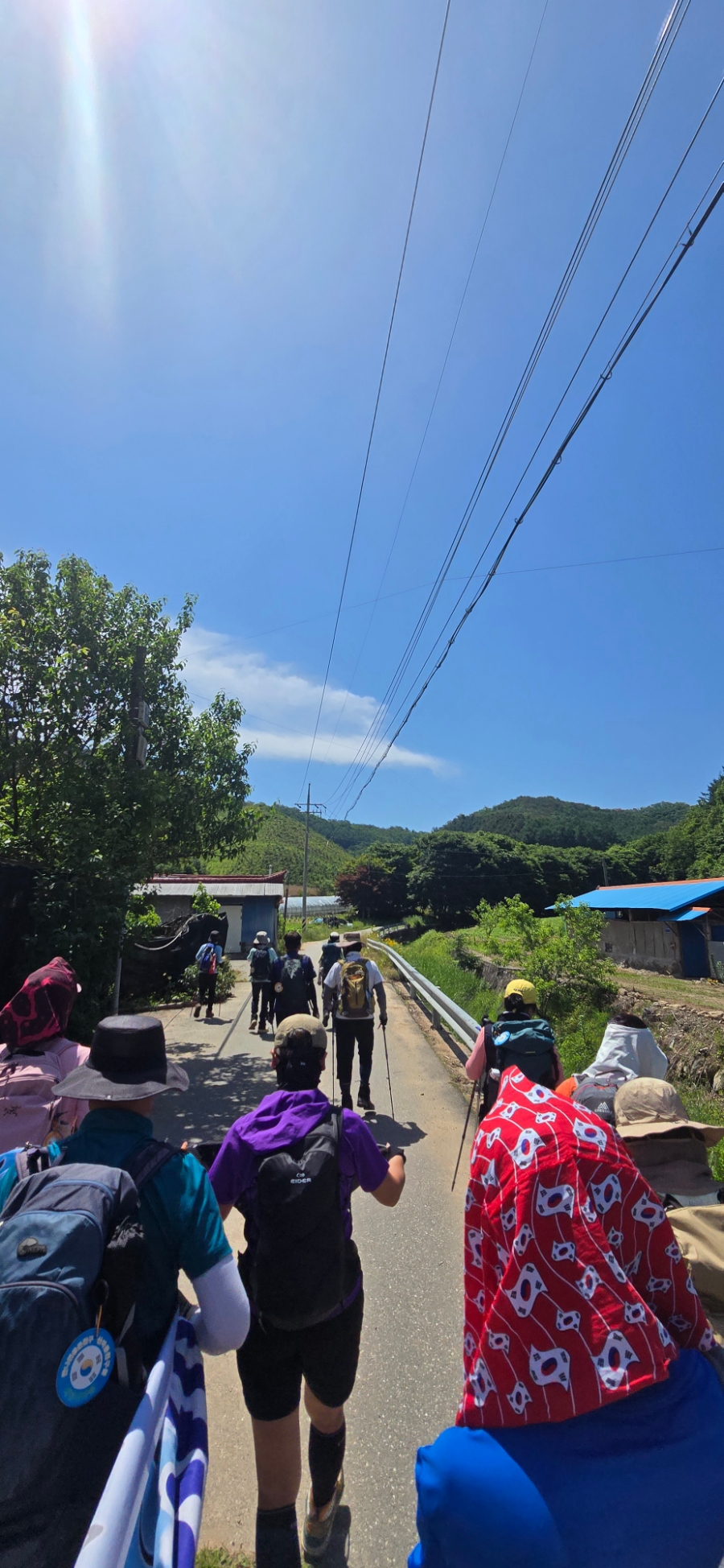 금학산관광농원 사진 6