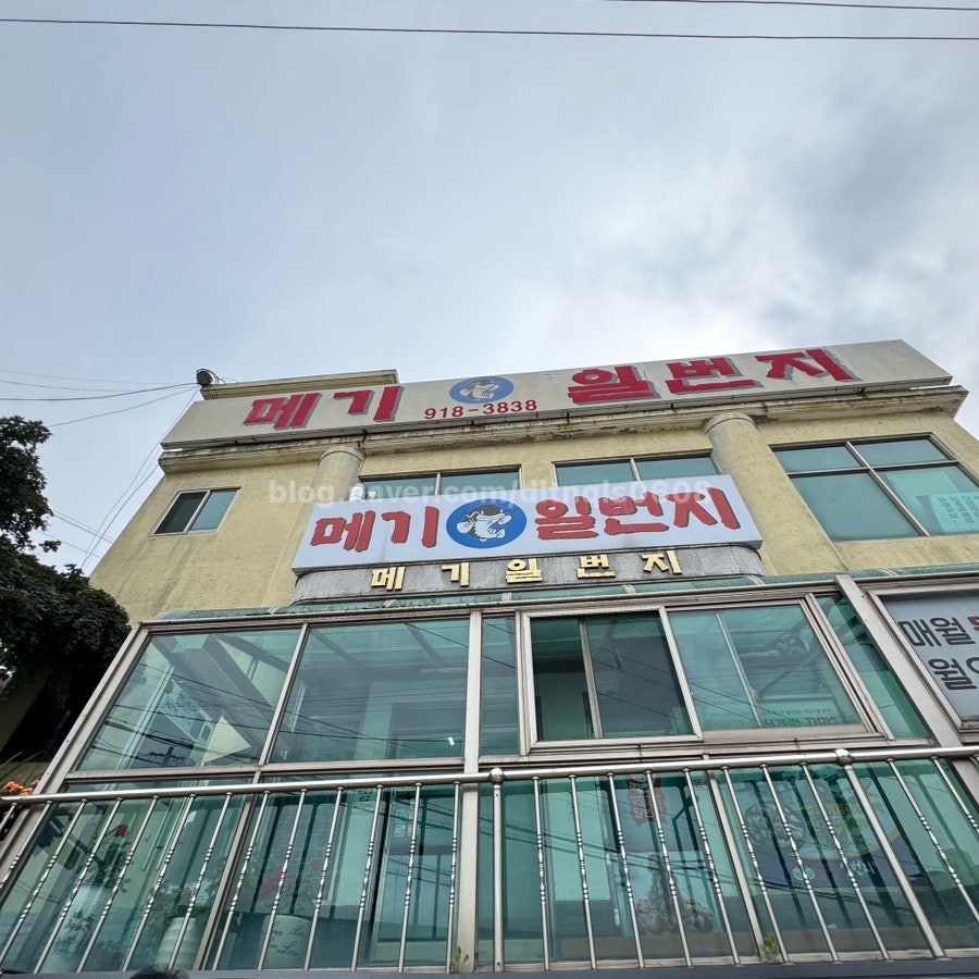 메기일번지 사진 2