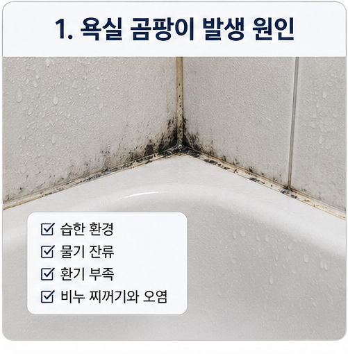 욕실 실리콘 검은 곰팡이, 락스 한 통으로 흔적 없이 박멸한 내돈내산 리얼 후기