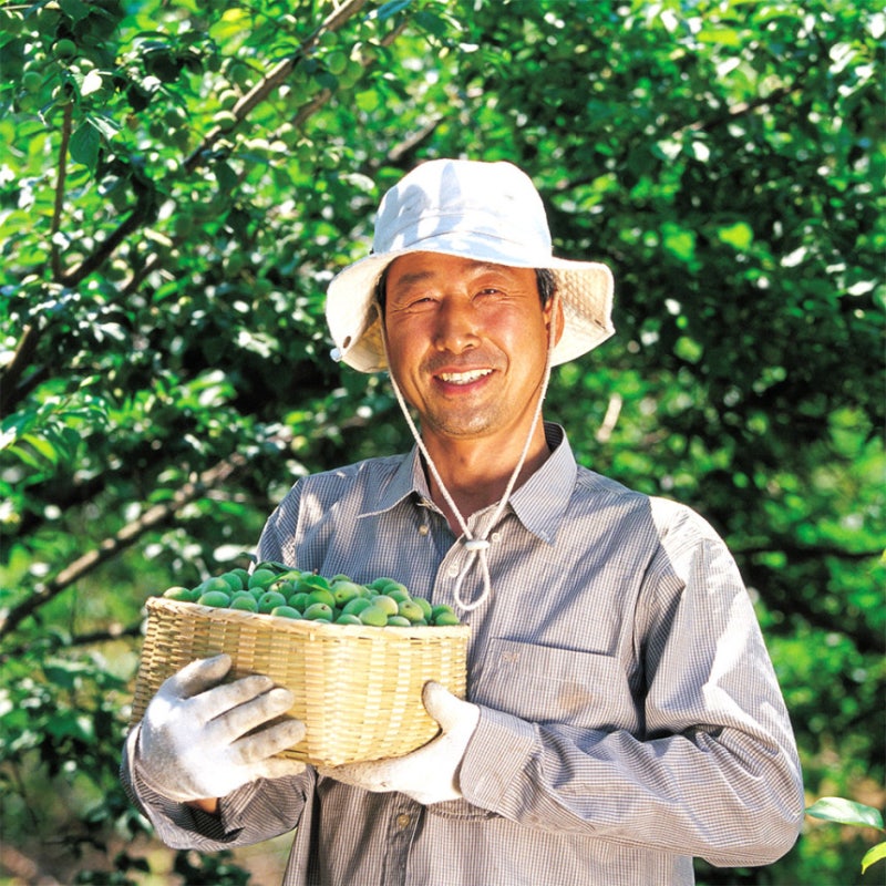 매실 엑기스 직접 담글까? 황매실 깐매실 구매 전 체크리스트 상품 이미지 1