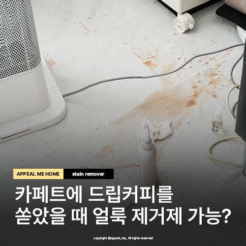 커피 쏟은 카페트 청소 오염 지우는 방법 얼룩제거제 사용