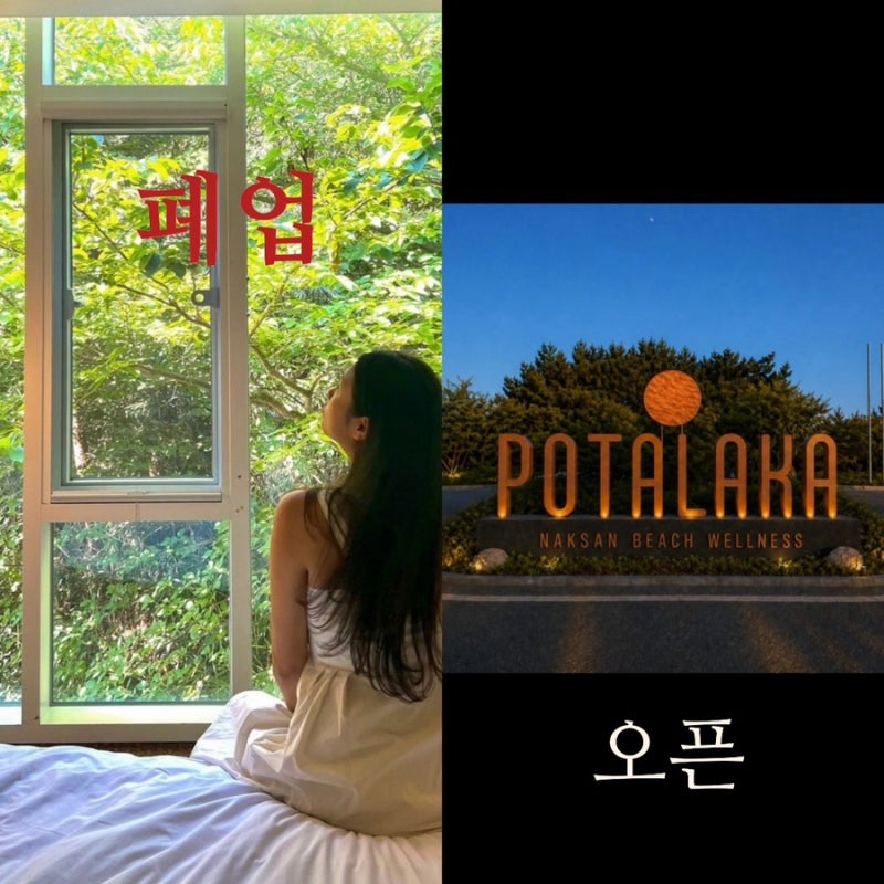 양양 낙산 비치 호텔 폐업?! 그리고 포타라카 낙산비치웰니스 오픈
