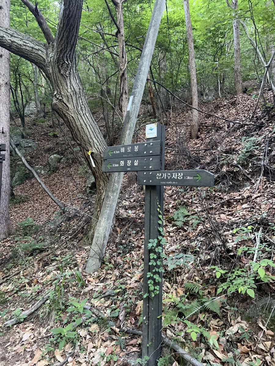 셀레네유황족욕카페 사진 4