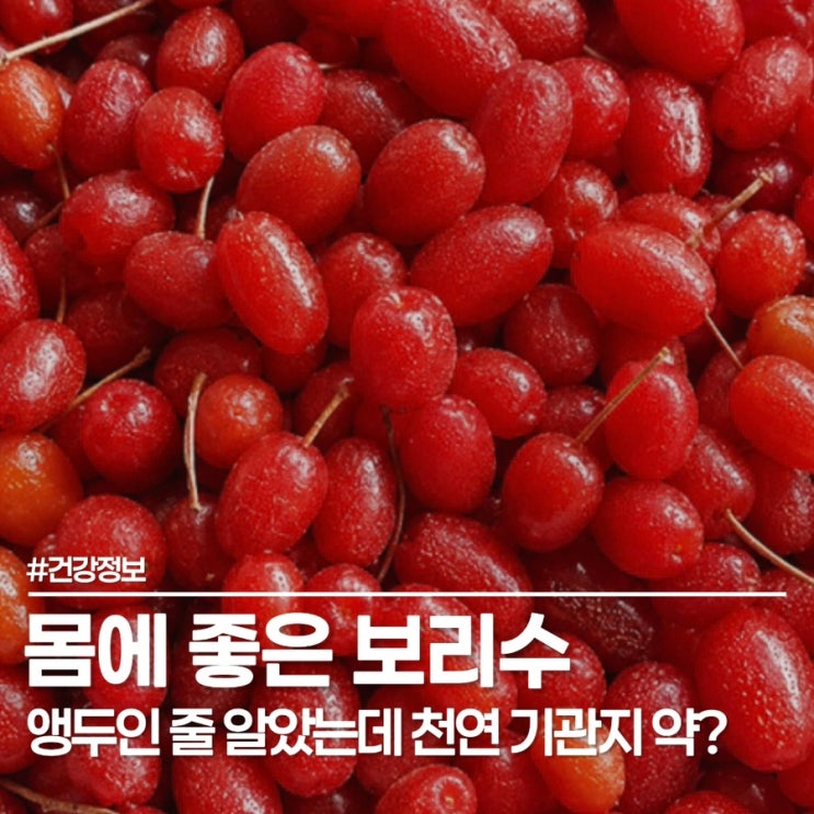  보리수 열매 효능 200% 살리는 세척법! 물러짐 없는 보리수 먹는 방법의 비밀