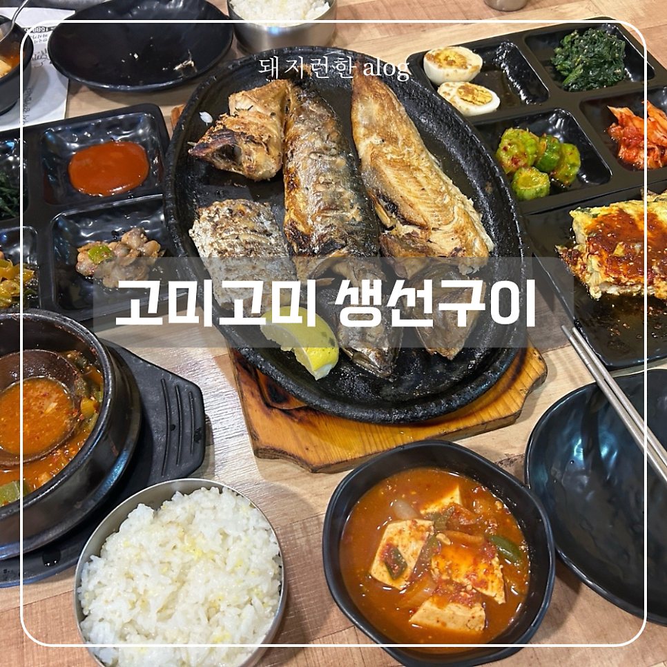 고미고미 사진 1