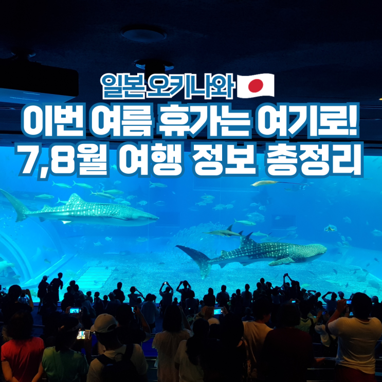  오키나와 7월 8월 날씨 스노쿨링 수영 여행 준비물
