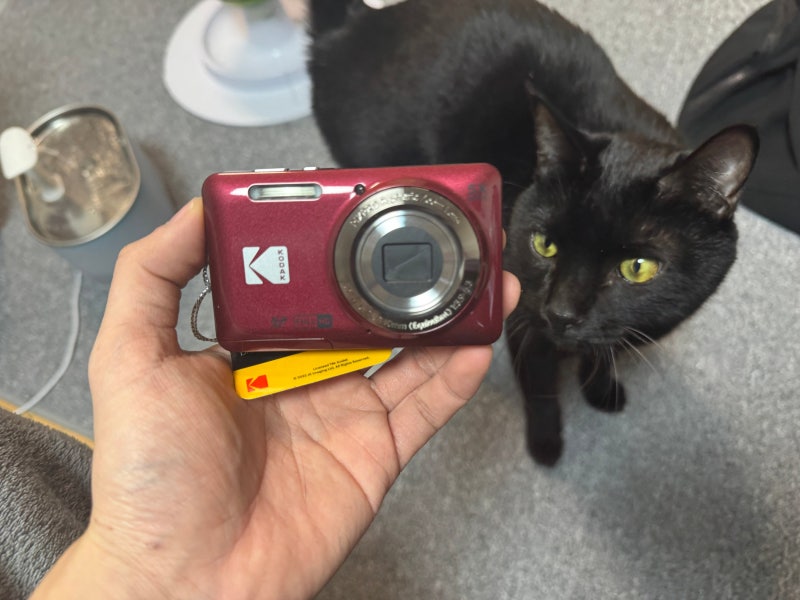 [Kodak PIXPRO FZ55 후기] 코닥 픽스프로 FZ55 실사용 리뷰｜디카 감성 작례 포함