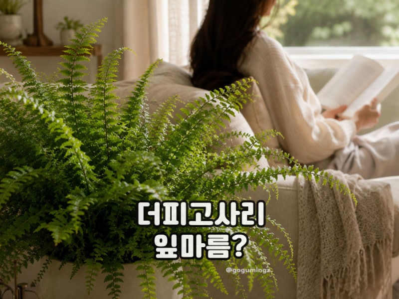 더피고사리 잎마름 원인, 물주기와 건강하게 키우는 방법