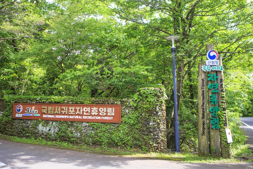 서귀포자연휴양림 야영장 사진 3