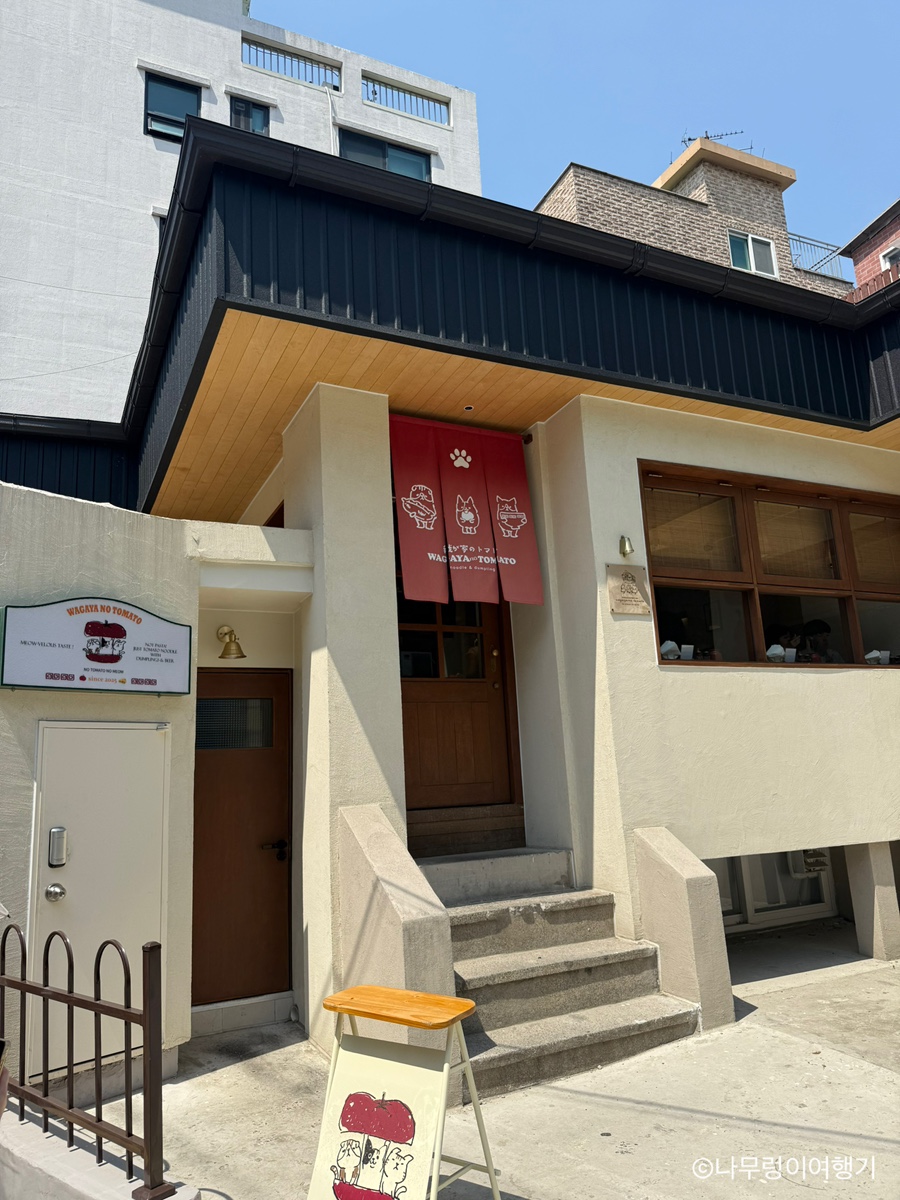 와가야노토마토 사진 1