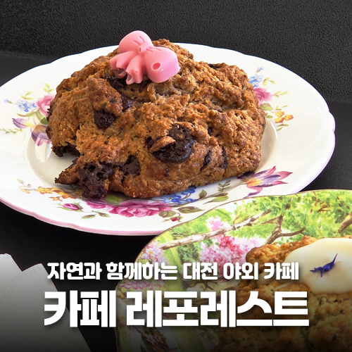  고개를 들면 숲이 보이는 대전 대형 야외 카페, 레포레스트