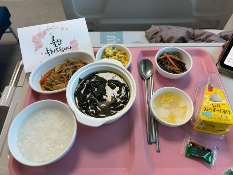 의정부을지대병원 제왕절개 5박6일 출산후기(산모식,면회시간,1인실,2인실,다인실,병원비)