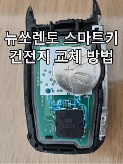 배터리 방전인 줄 알았는데...올뉴쏘렌토 스마트키 건전지 교체 방법 총정리