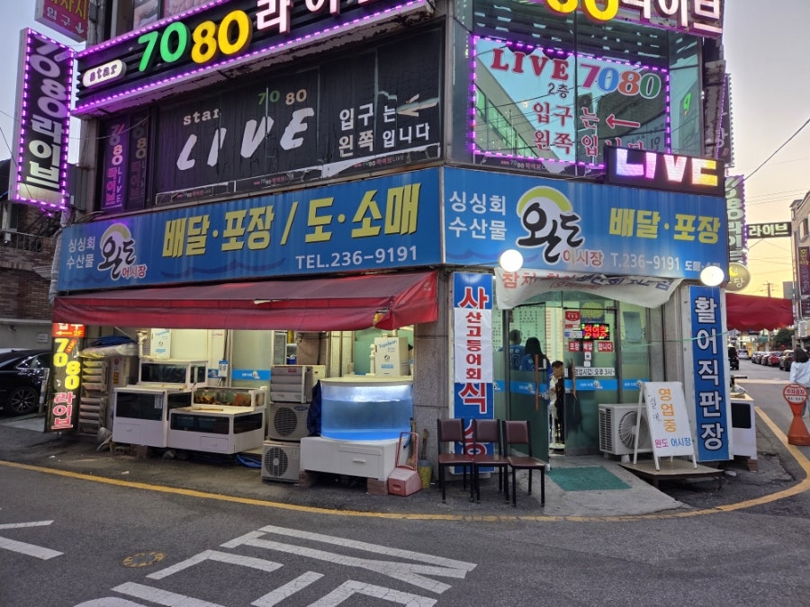 완도어시장 사진 1