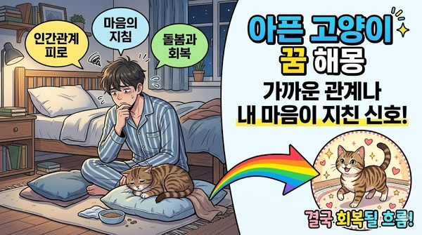 아픈 고양이 꿈