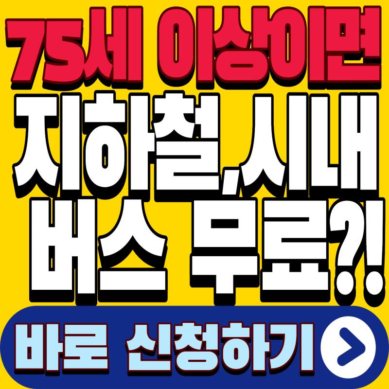 인천 어르신 교통카드 총정리 (2026년 최신)