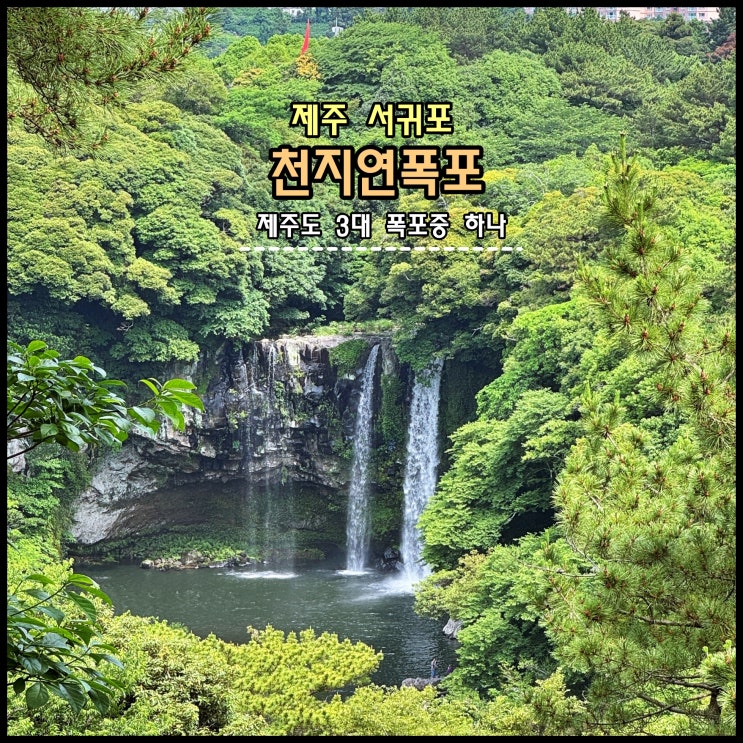  [제주] 기암절벽 위에서 우레와 같은 소리를 내며 쏟아져 내리는 '천지연폭포'