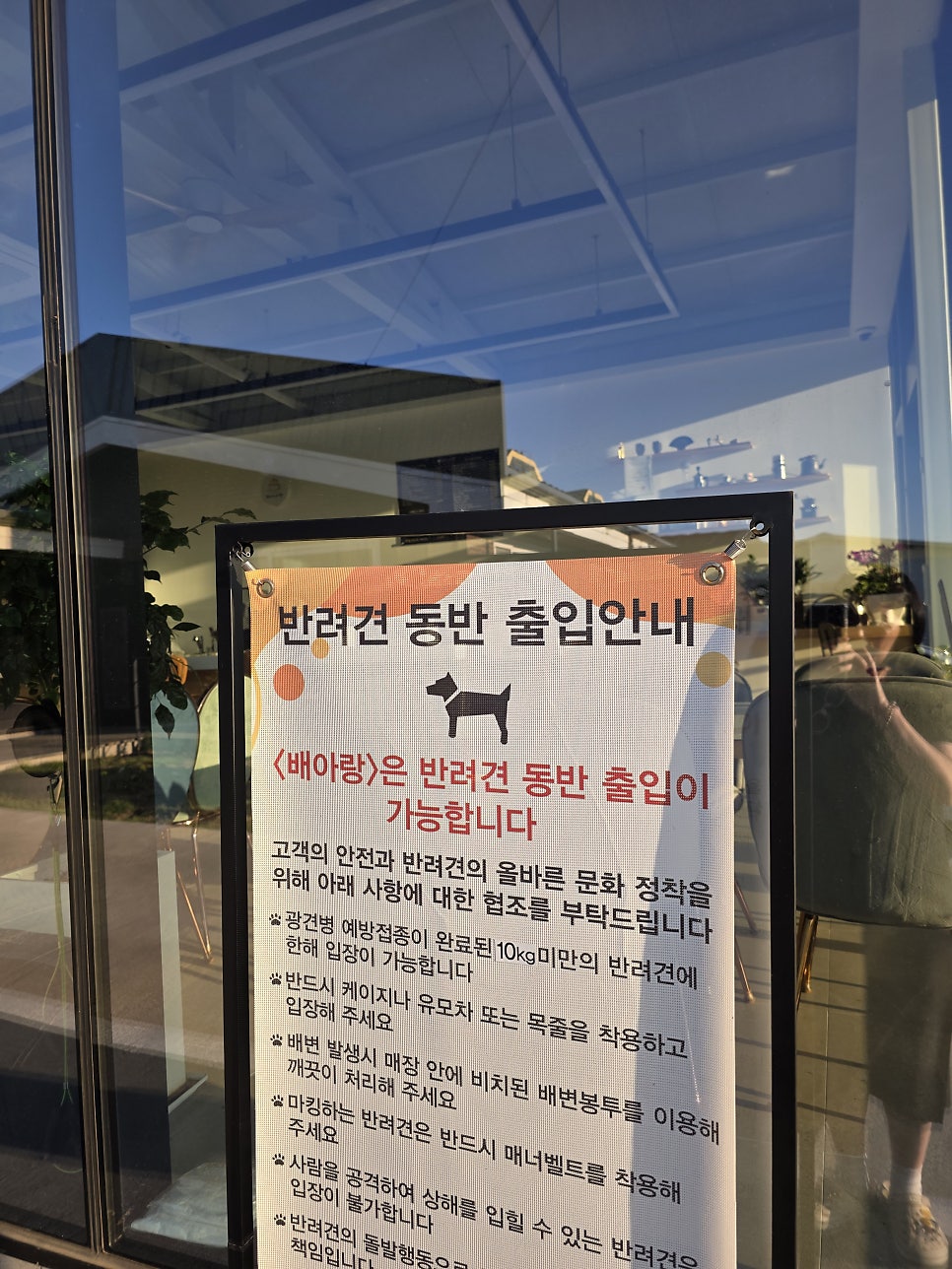 배아랑 사진 4