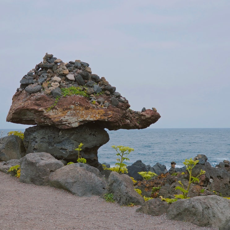  섭지코지 제주도 동쪽 여행 서귀포 가볼만한 곳 제주 동부권관광지