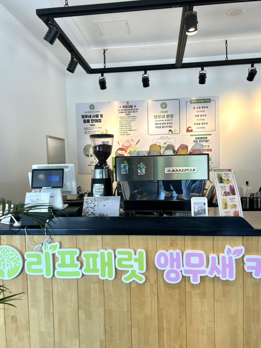 도화지 사진 5