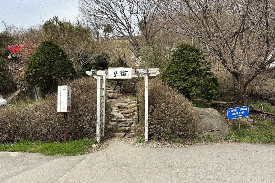 모밥 사진 4