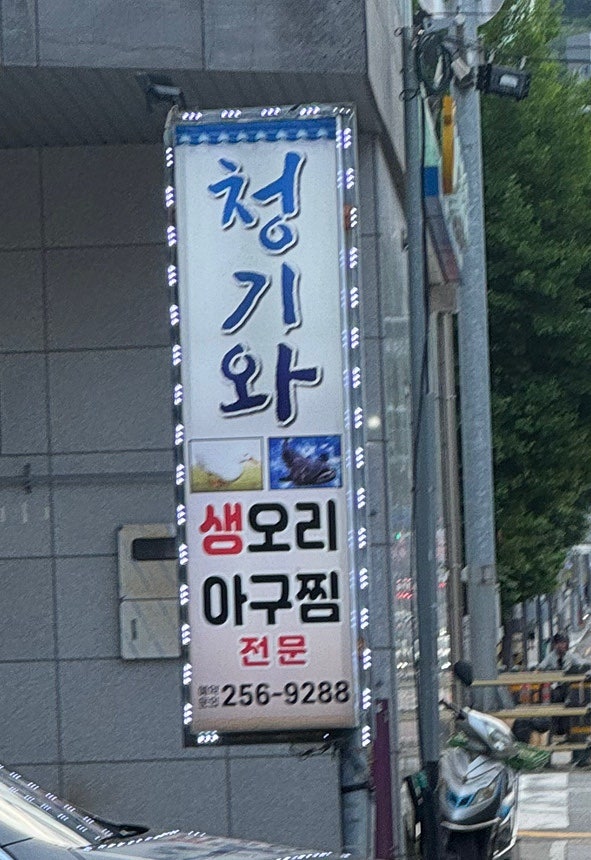 청기와생오리 사진 2