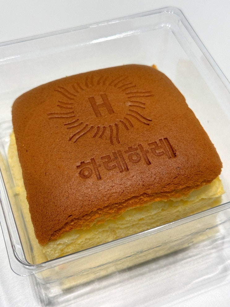  [대전/둔산동] 하레하레 갤러리아 타임월드점 대전여행 빵투어 풍자 쌀카스테라 맛집 내돈내산