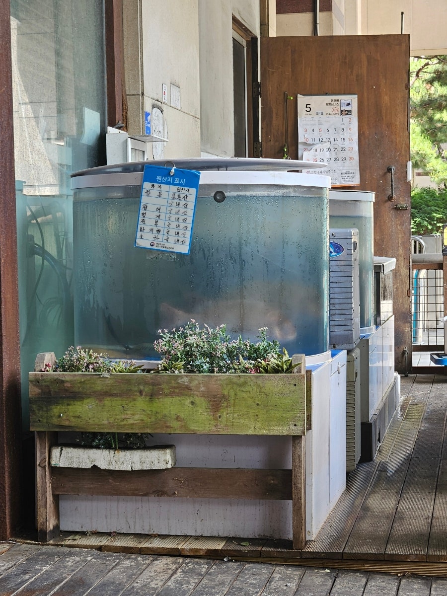 제주사랑 본점 사진 2