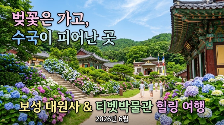  벚꽃이 떠난 자리, 오색 수국이 피어났다 — 2026년 6월, 보성 대원사 & 티베트 박물관 힐링 기행
