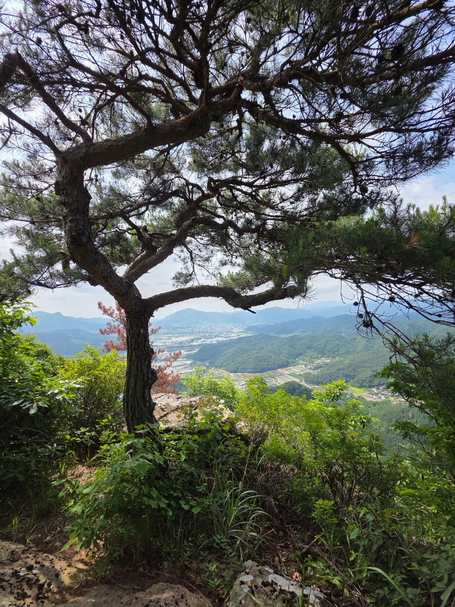 수인산 사진 3