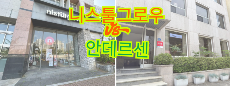 안데르센 올리버 하이가드 빌리 니스툴그로우 아이비 원목 침대 비교 | 풀패키지 260만 원 vs 1....