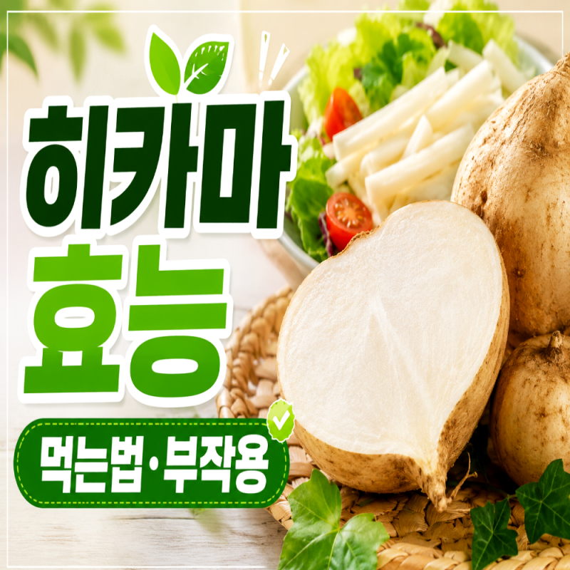 히카마 효능 총정리. 먹는 법. 부작용 재배방법까지