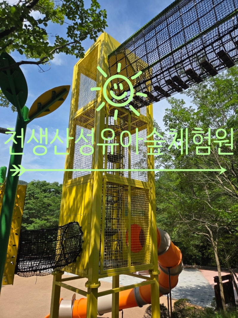 구미 아이랑 가볼만한곳~피톤치드 가득! 천생산성 유아숲체험원