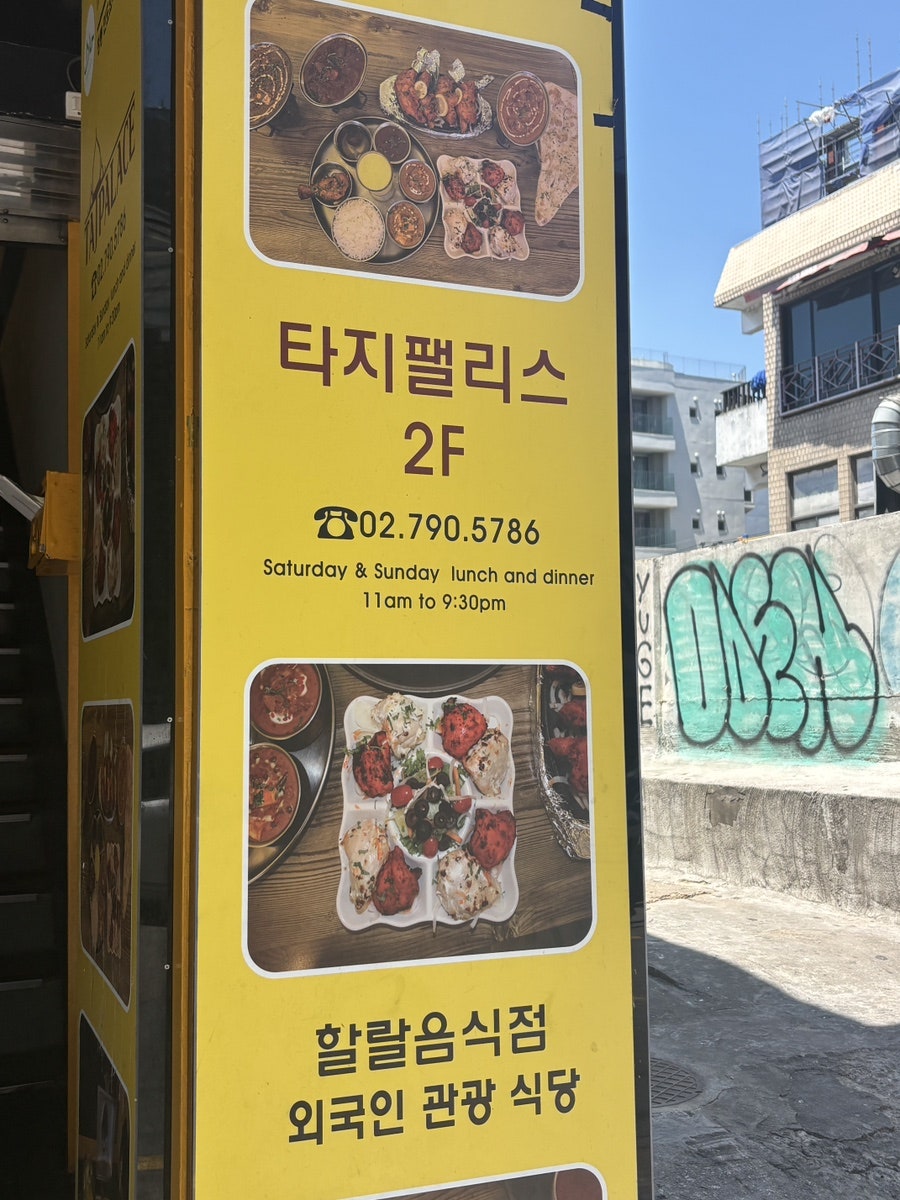 타지펠리스 사진 1