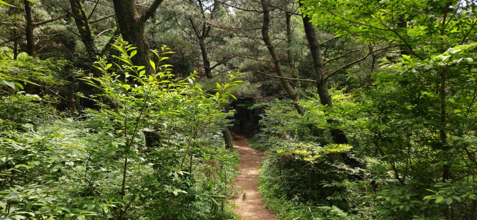 미악산 사진 6