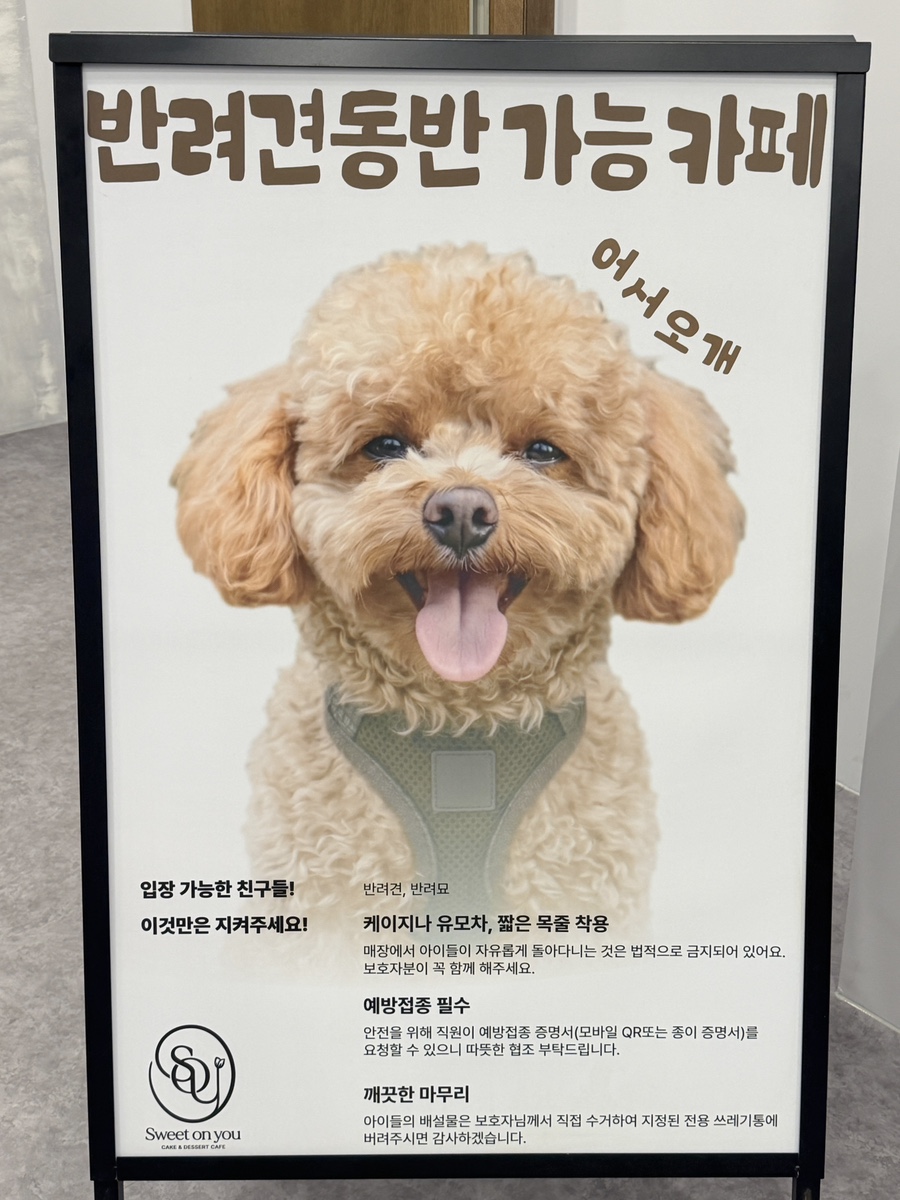 스윗온유 사진 6