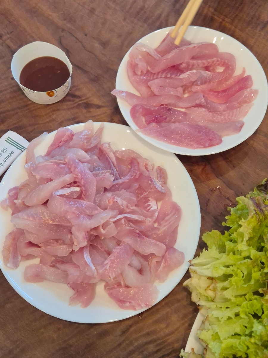 예향 사진 3