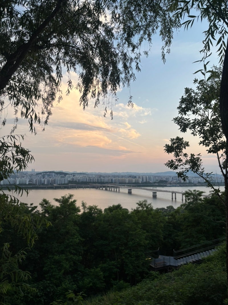 노을캠핑장 애견동반 E구역 명당 추천 | 매점 전품목, 예약 방법, 과연 가성비 일까...?
