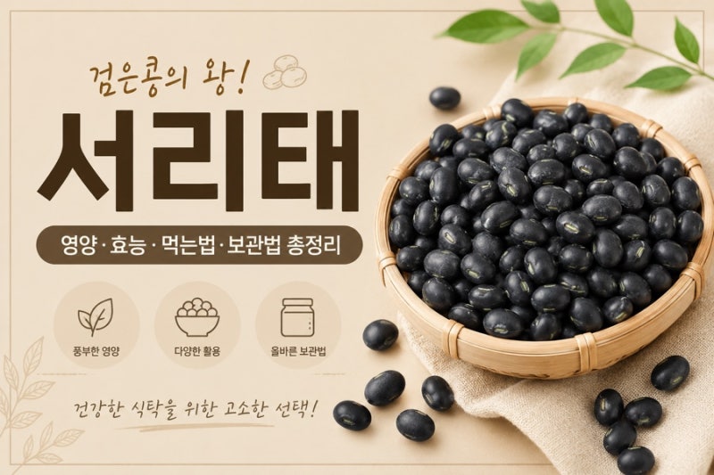 서리태 효능 5가지와 탈모 예방 극대화하는 올바른 먹는 법 (주의사항 필독!)