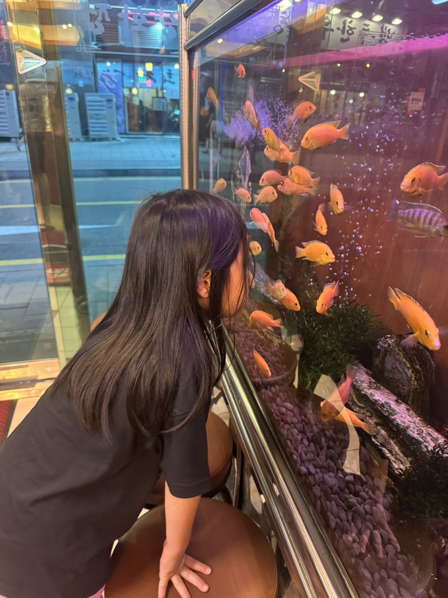 양화정 사진 3