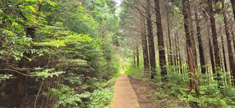 미악산 사진 4