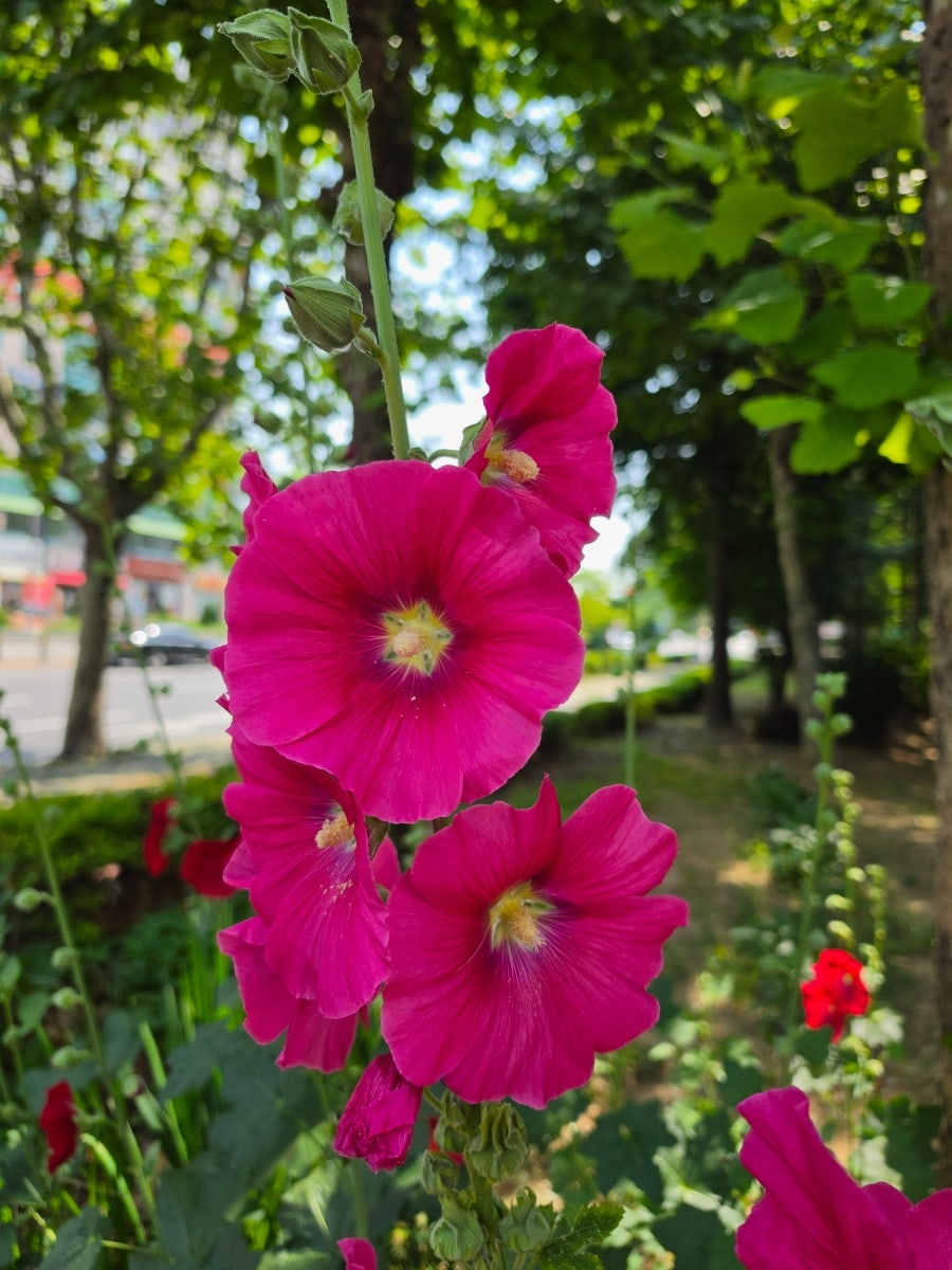 써브웨이 인천삼산점 사진 2