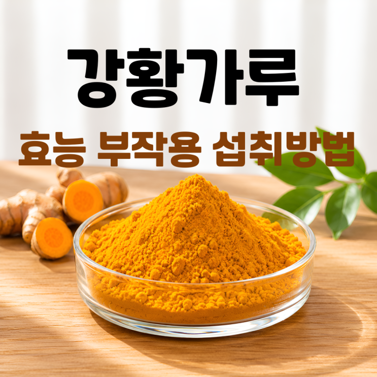  강황가루 효능 부작용 섭취방법 총정리 ㅣ 울금 차이까지 한번에