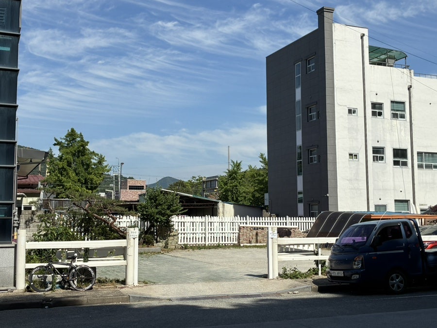 몽들 사진 3