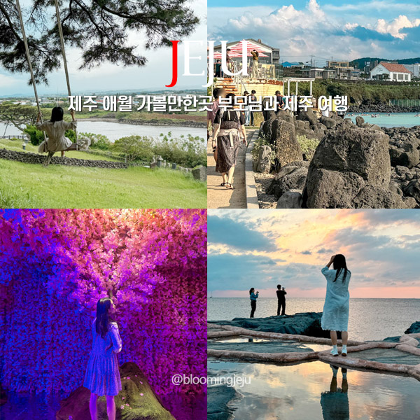  제주 애월 가볼만한곳 부모님과 제주 여행 후기