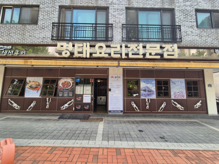 미스터코다리 사진 1