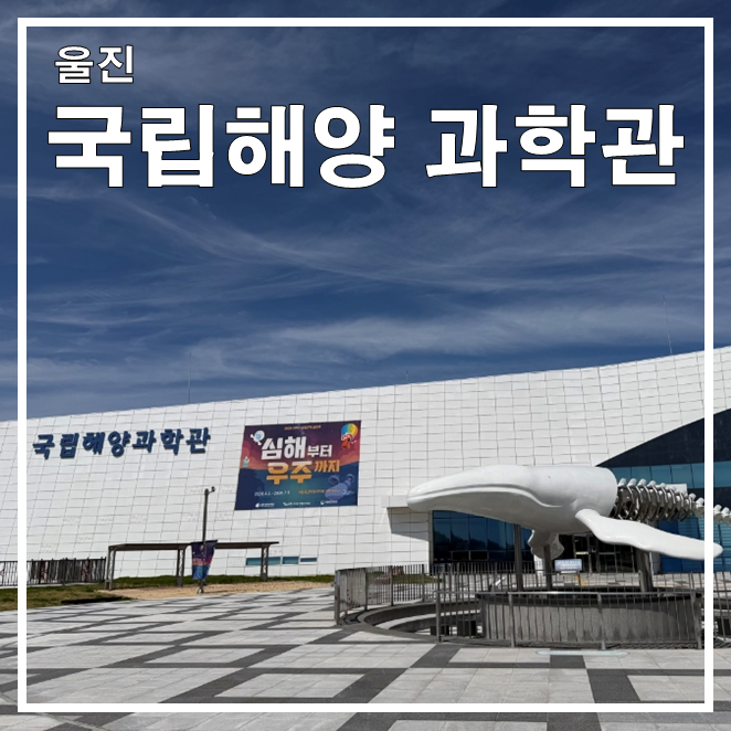 울진여행7 [국립울진해양과학관ㅣ바다속 전망대] - 아이와 함께 가볼만한 곳ㅣ놀거리 볼거리....