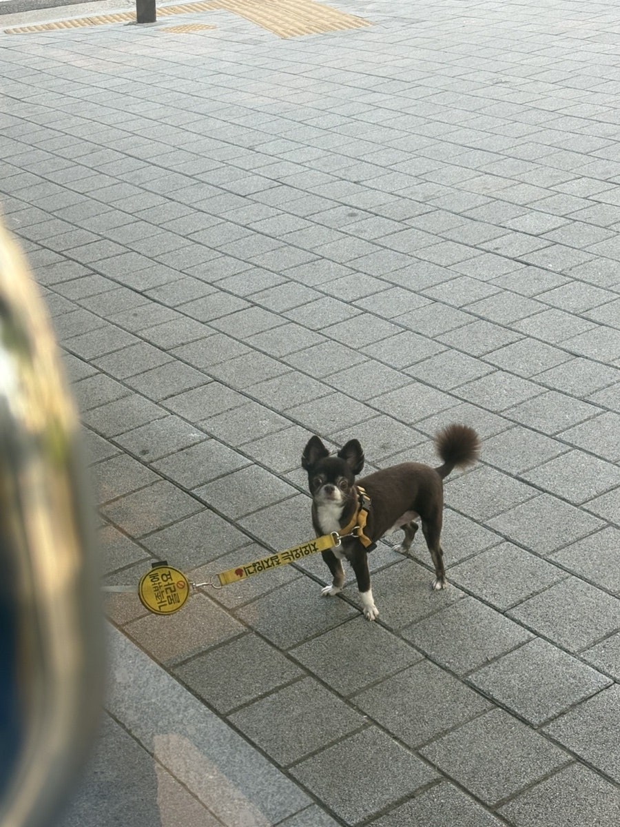 김기혁 남촌해물찜 사진 3