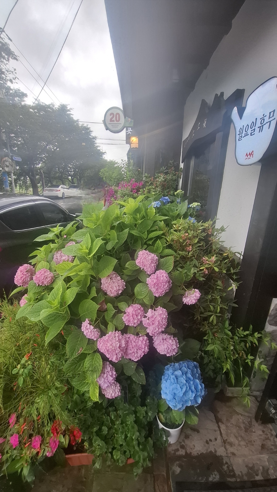 전통찻집 담소 사진 3