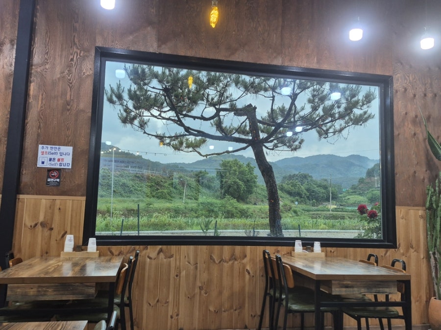 용문칼국수 사진 5